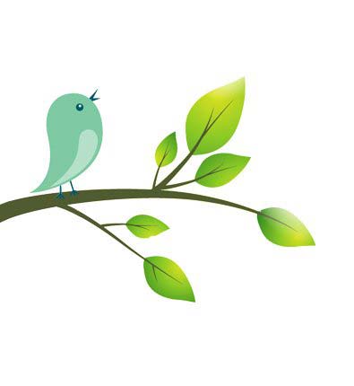 background-image-bird-TD background-image-bird-TD