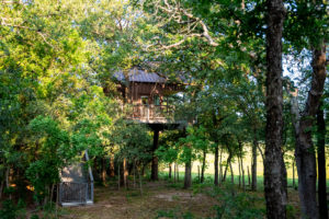 Treehouse exterior
