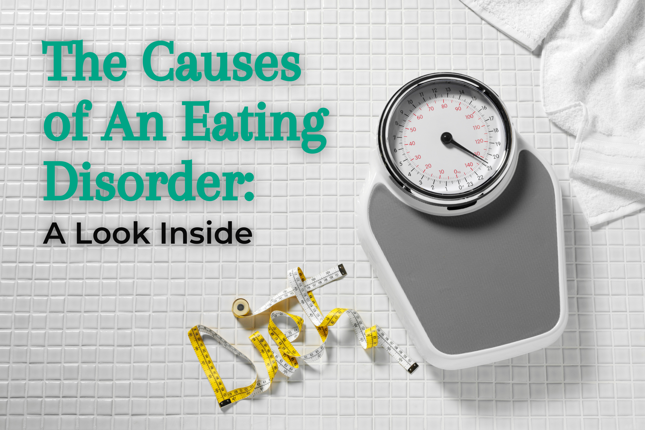 Eating Disorder Causes