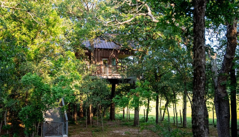 treehouse1